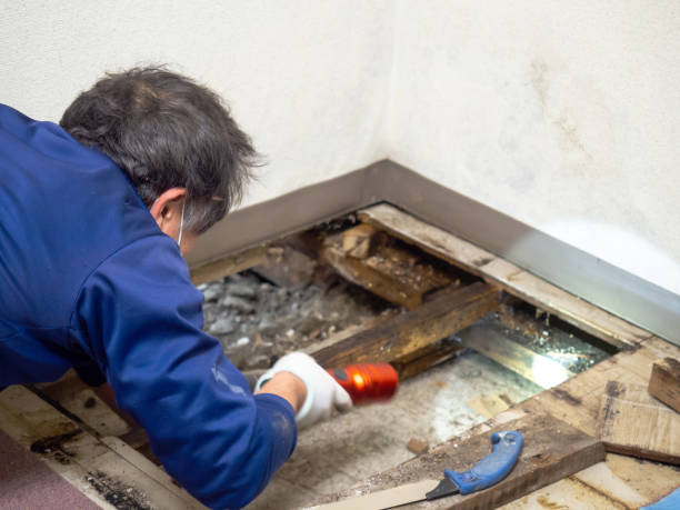 Water Damage Restoration in Clinton, OK