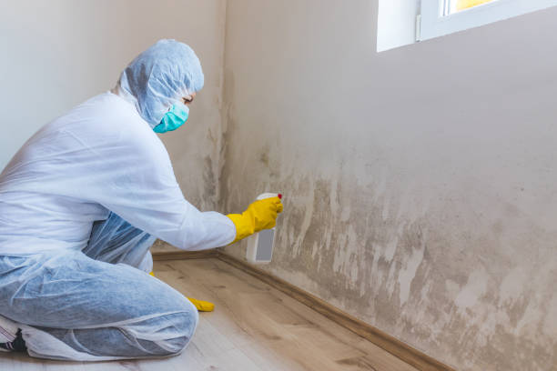 Mold Testing and Removal in Clinton, OK