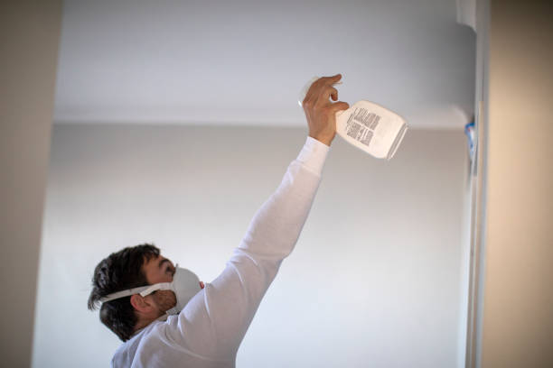 Best Mold Removal Near Me  in Clinton, OK
