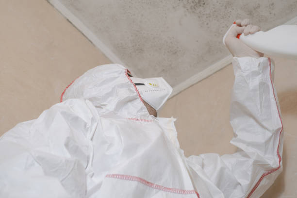 Best Fast Mold Removal  in Clinton, OK